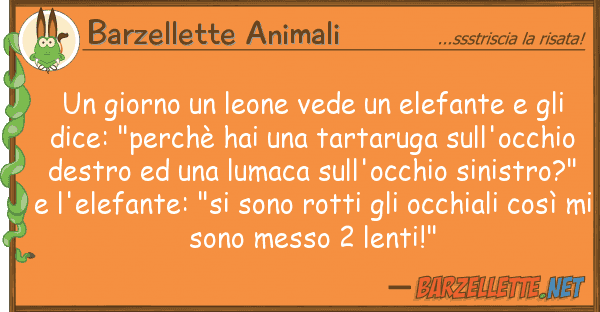 Barzellette Animali giorno leone vede elefante gl