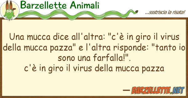 Barzellette Animali mucca dice all'altra: "c'è giro