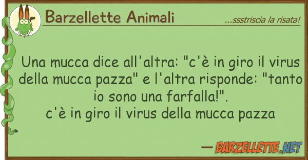 Barzellette Animali mucca dice all'altra: "c'è giro