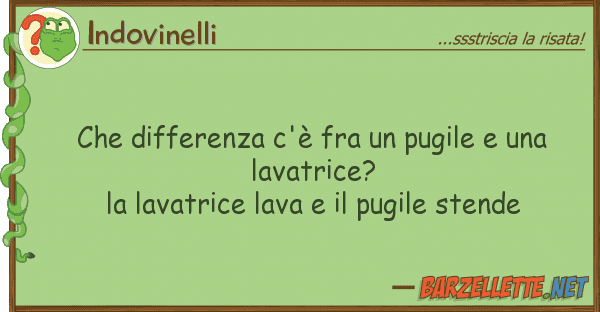 Indovinelli differenza c'è fra pugile
