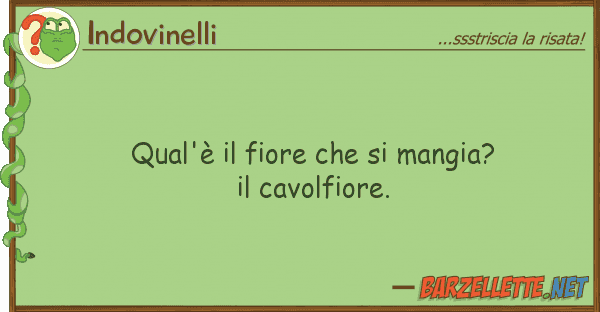 Indovinelli qual'è fiore mangia? cavol