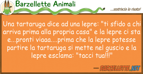 Barzellette Animali tartaruga dice lepre: "ti sfi