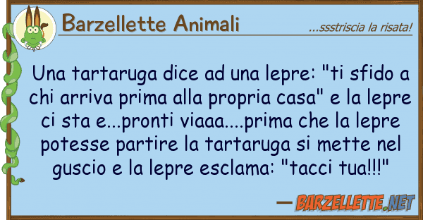Barzellette Animali tartaruga dice lepre: "ti sfi