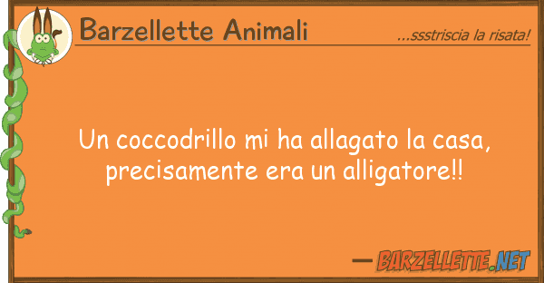 Barzellette Animali coccodrillo ha allagato casa, p