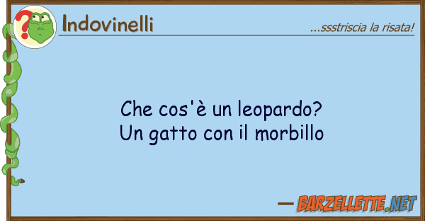 Indovinelli cos'è leopardo? gatto