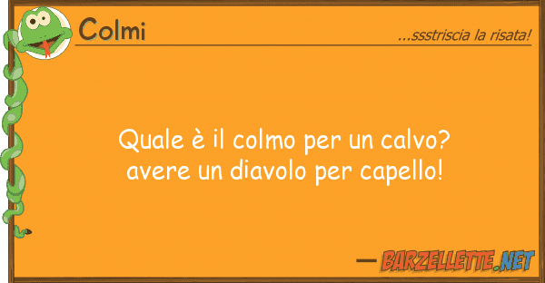 Colmi è colmo calvo? avere