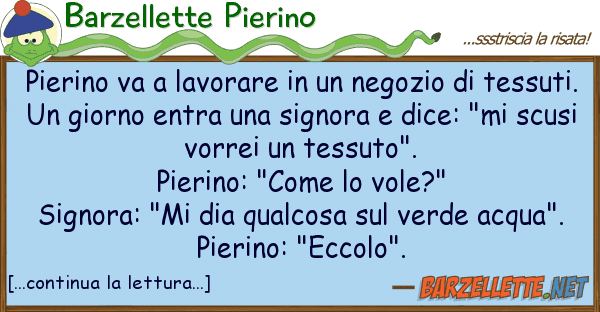 Barzellette Pierino pierino va lavorare negozio t