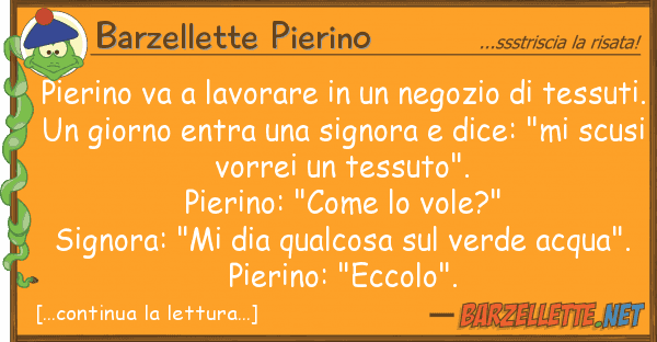 Barzellette Pierino pierino va lavorare negozio t
