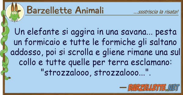 Barzellette Animali elefante aggira savana... p