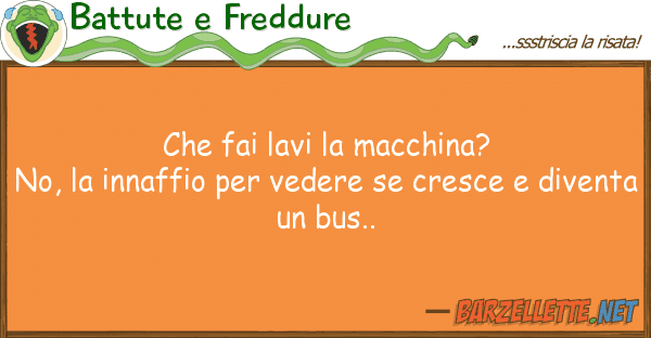 Battute e Freddure fai lavi macchina? no, innaffi