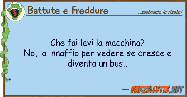 Battute e Freddure fai lavi macchina? no, innaffi