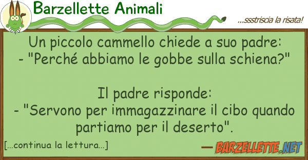Barzellette Animali piccolo cammello chiede padre: