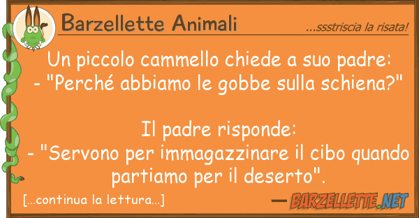 Barzellette Animali piccolo cammello chiede padre: