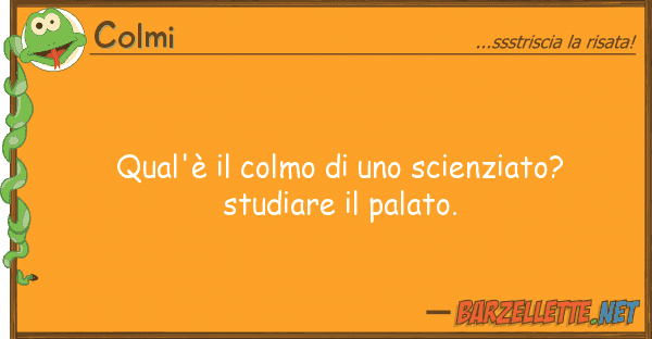 Colmi qual'è colmo scienziato? stud