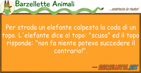 Barzellette Animali strada elefante calpesta coda