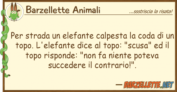 Barzellette Animali strada elefante calpesta coda