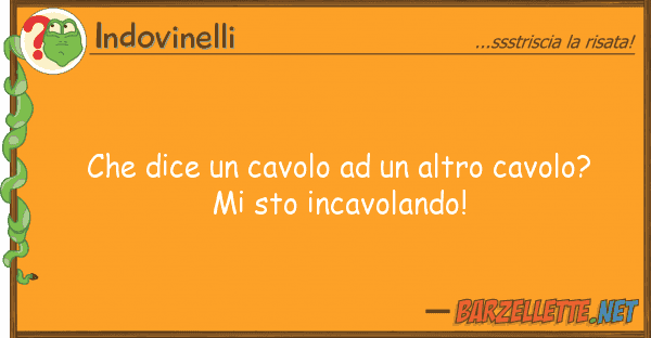 Indovinelli dice cavolo altro cavolo?