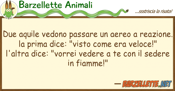 Barzellette Animali due aquile vedono passare aereo rea