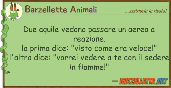 Barzellette Animali due aquile vedono passare aereo rea