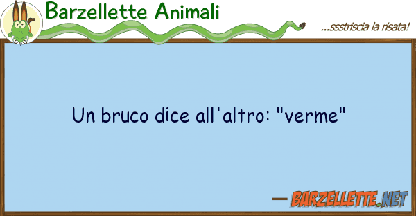 Barzellette Animali bruco dice all'altro: "verme"