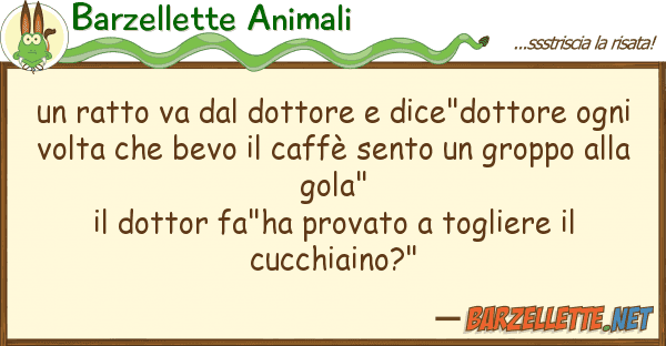 Barzellette Animali ratto va dottore dice"dottore