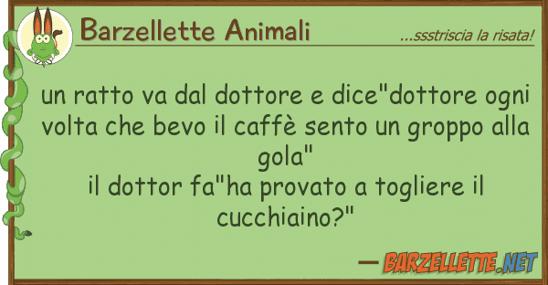 Barzellette Animali ratto va dottore dice"dottore