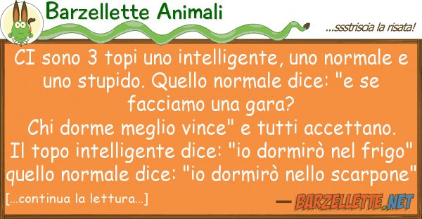 Barzellette Animali sono 3 topi intelligente, nor