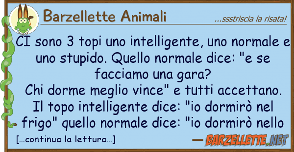 Barzellette Animali sono 3 topi intelligente, nor