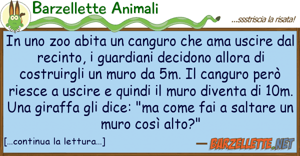 Barzellette Animali zoo abita canguro ama usci
