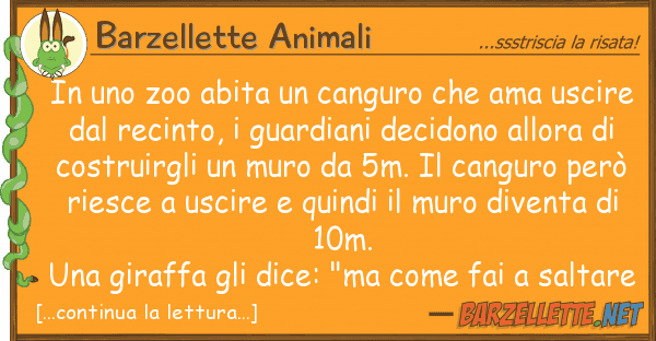 Barzellette Animali zoo abita canguro ama usci