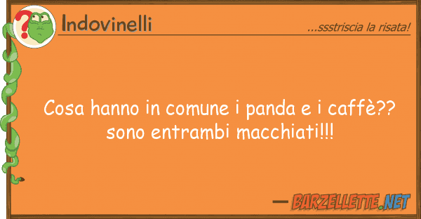 Indovinelli cosa hanno comune panda caffè?
