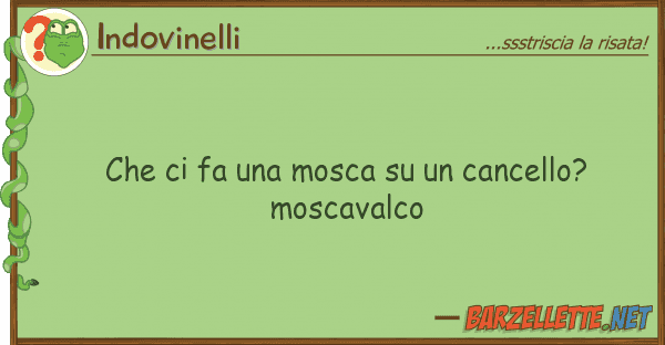 Indovinelli fa mosca cancello? mosc