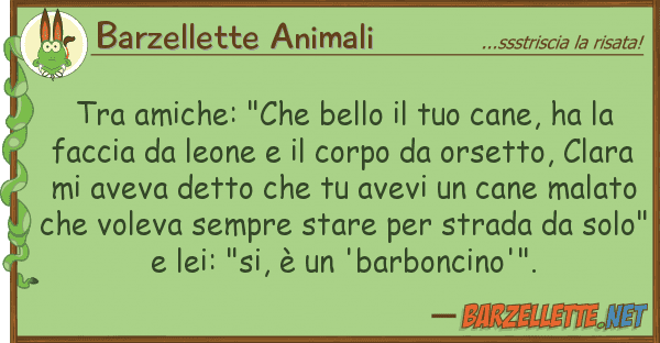Barzellette Animali amiche: "che bello cane, ha