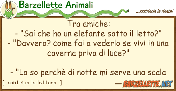 Barzellette Animali amiche: - "sai ho elefante