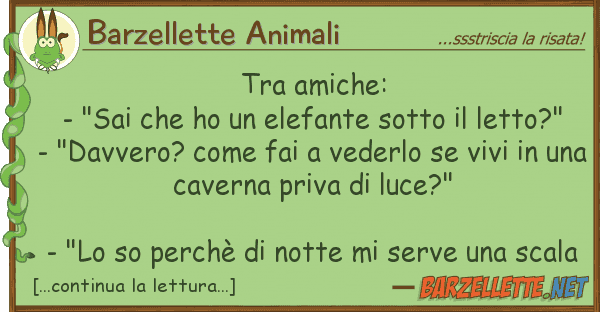 Barzellette Animali amiche: - "sai ho elefante