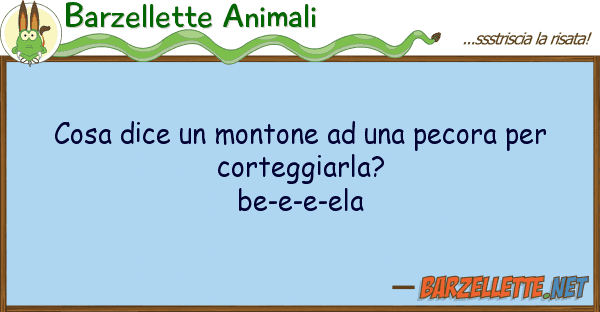 Barzellette Animali cosa dice montone pecora