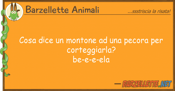 Barzellette Animali cosa dice montone pecora