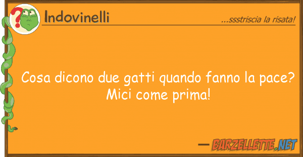 Indovinelli cosa dicono due gatti quando fanno pa
