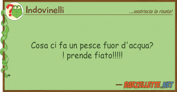 Indovinelli cosa fa pesce fuor d'acqua?! prend