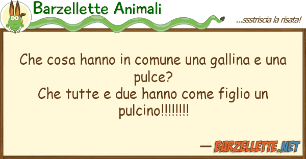 Barzellette Animali cosa hanno comune gallina u