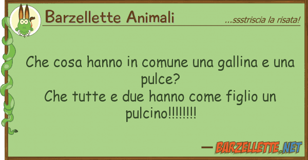 Barzellette Animali cosa hanno comune gallina u