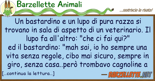 Barzellette Animali bastardino lupo pura razza