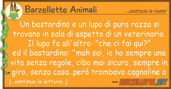 Barzellette Animali bastardino lupo pura razza
