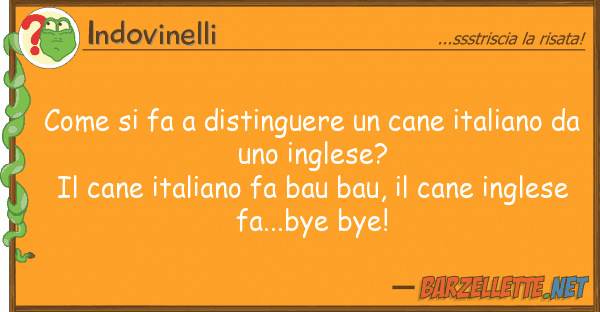 Indovinelli fa distinguere cane italian