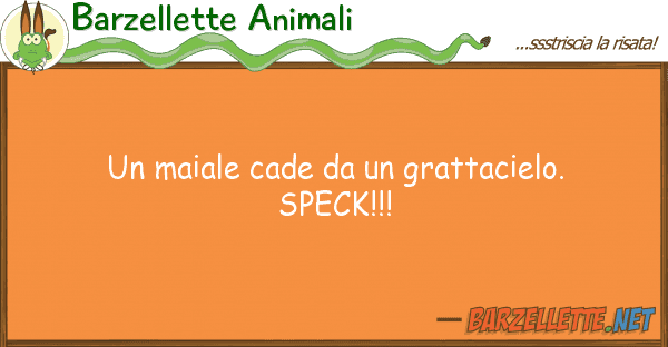 Barzellette Animali maiale cade grattacielo. speck