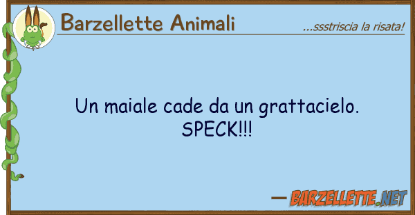 Barzellette Animali maiale cade grattacielo. speck