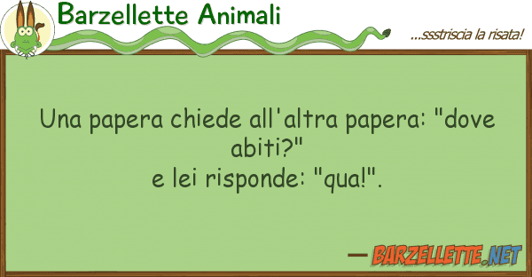 Barzellette Animali papera chiede all'altra papera: "dov
