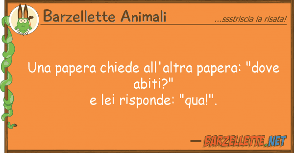 Barzellette Animali papera chiede all'altra papera: "dov