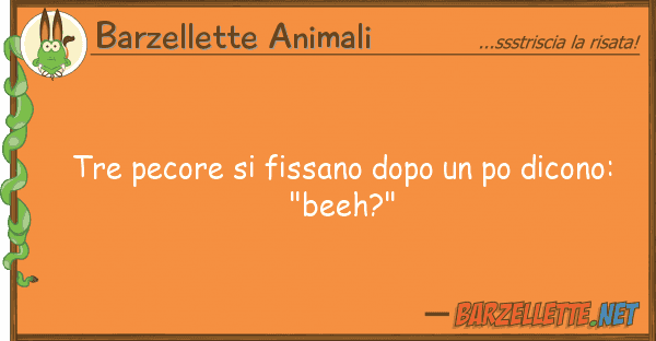 Barzellette Animali tre pecore fissano dopo po dicono: