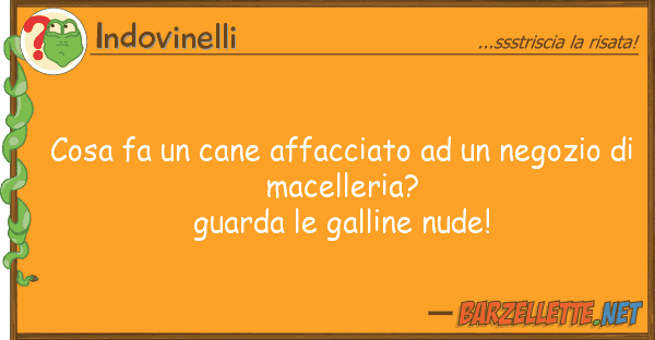 Indovinelli cosa fa cane affacciato negozio
